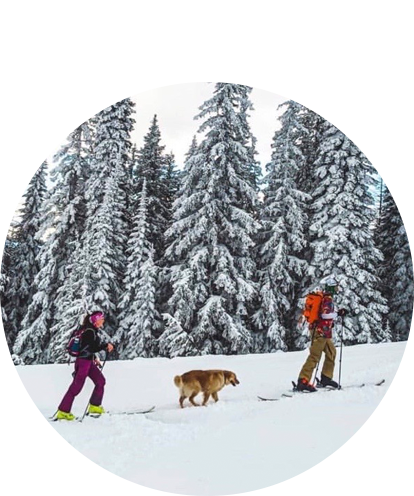Kimberly Drygas fun photo skiing with adult male and large dog.